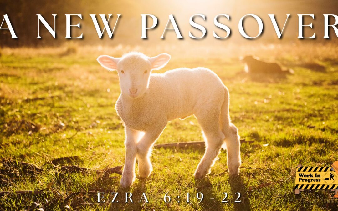 This Week’s Sermon